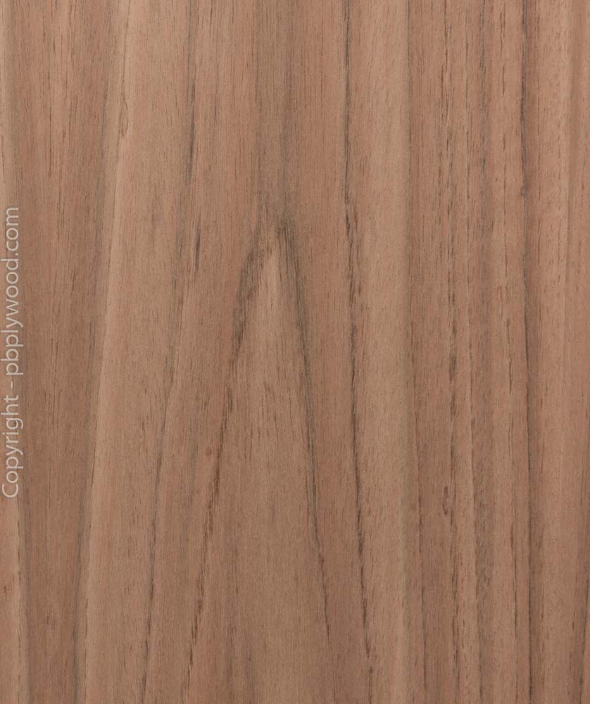 Etimoe Veneered Birch Plywood - Peter Benson Plywood Ltd